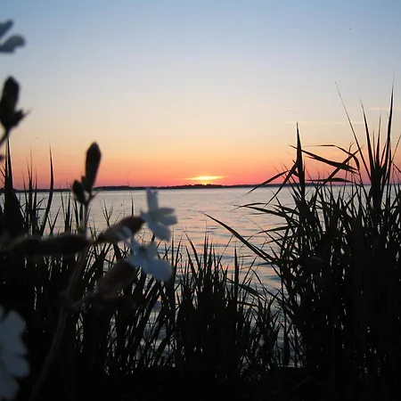 アパート Gartendeck 421 *